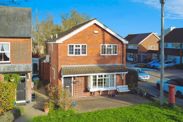 User_Edited_Photo-8Ddb3192_User-Edited-E344E8A5-43