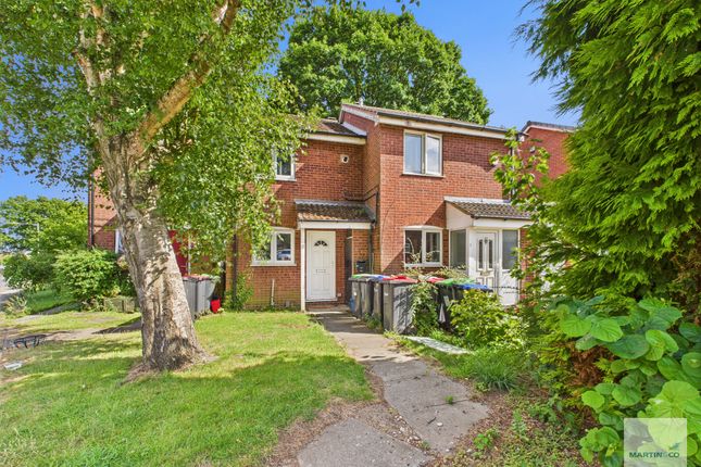 Cam03394G0-Pr0326-Still013