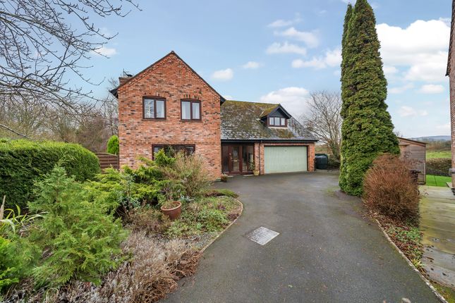 Thumbnail Detached house for sale in Castle Mount, Dilwyn, Herefordshire