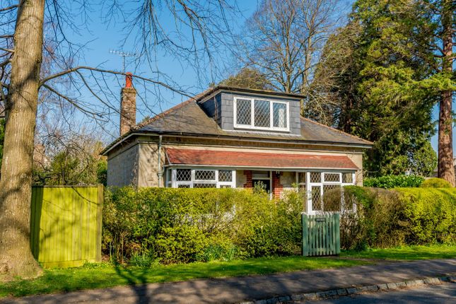 Thumbnail Detached house for sale in The Drive, Chichester, West Sussex