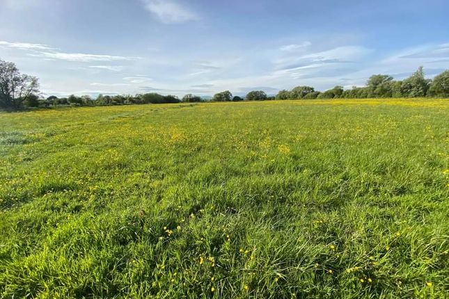 Thumbnail Land for sale in Land For Sale, Peterstone Wentlooge