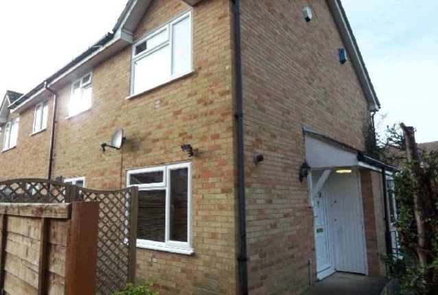 Let00065 Pic2_Lge.Jpg