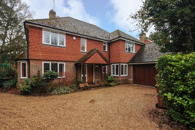 Thumbnail Detached house to rent in The Avenue, Rowledge, Farnham