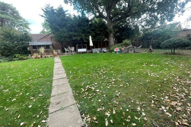 Buckingham Road, Hampton photo 5