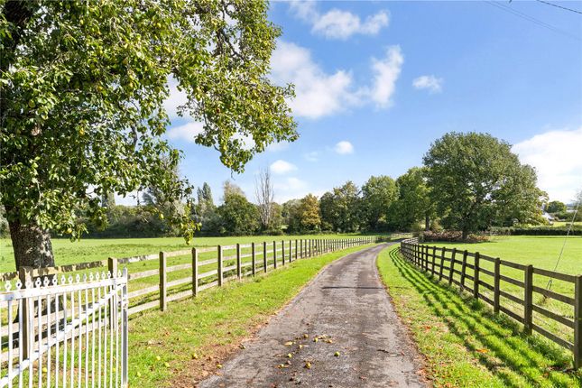 Ladymead Farm,, Ladymead Lane, North Somerset photo 3