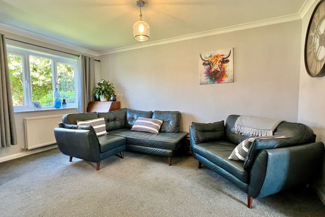 60 Bilberry Grove, Taunton photo 3