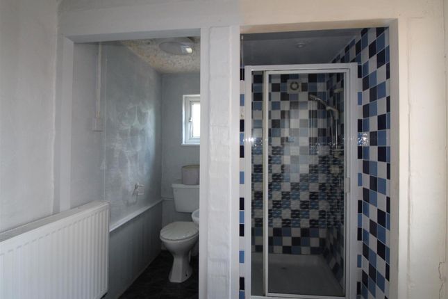 Ds Shower And Toilet.Jpg