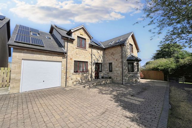 Thumbnail Detached house for sale in North End, Longhoughton, Alnwick