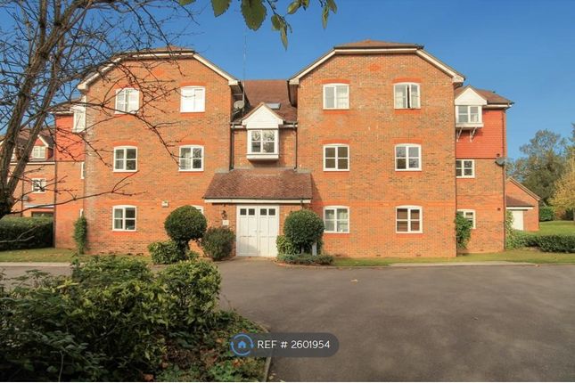 Royal Huts Avenue 2