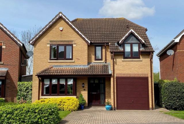 Thumbnail Detached house for sale in Harcourt Way, Hunsbury Hill, Northampton