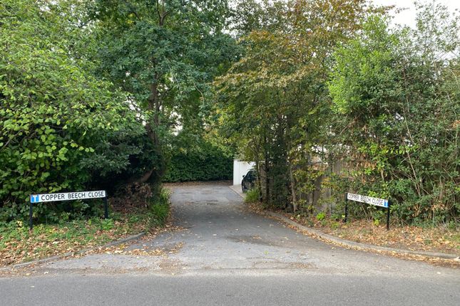 Double Garage, Copper Beech Close photo 2