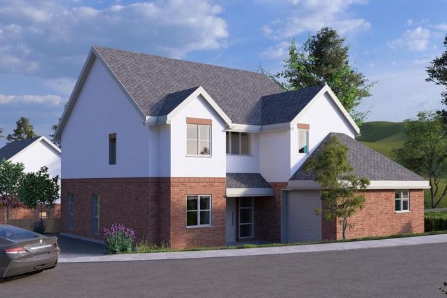 Dol Uchaf, Ruthin Road, Mold photo 5
