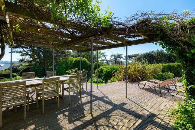 Decked Area