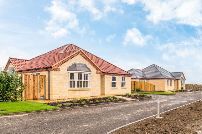 Thumbnail Detached bungalow for sale in The Hawthorns, Cranwell Village