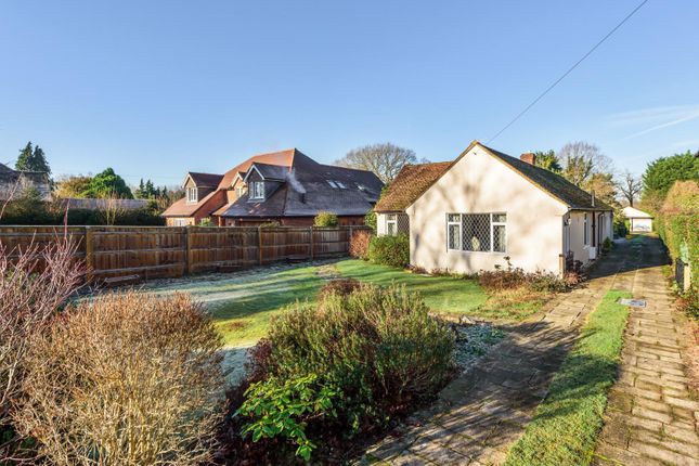 Thumbnail Detached bungalow for sale in East Lane, West Horsley