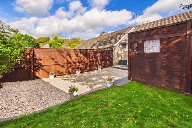 7 Gowmans Terrace, North Tawton photo 4