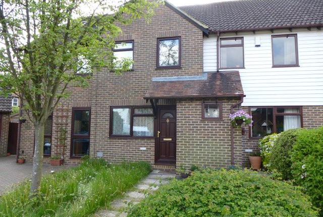 Thumbnail Property to rent in Grey Willow Gardens, Singleton, Ashford