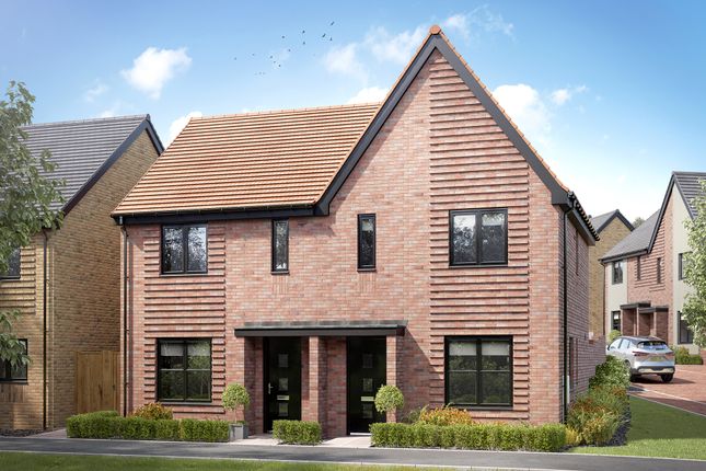 Thumbnail Semi-detached house for sale in "The Danbury" at Hadham Road, Bishop's Stortford