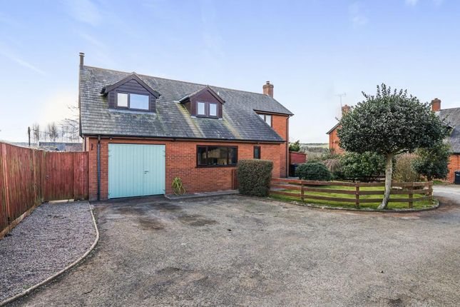 Thumbnail Detached house to rent in Hereford, Herefordshire