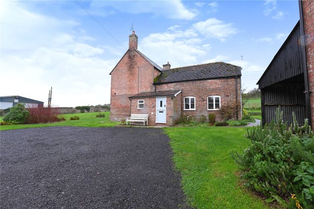 Detached house to rent in Roke Farm, Bere Regis, Wareham, Dorset
