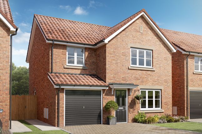 Thumbnail Detached house for sale in "The Roseberry" at Whitedale Road, Calverton, Nottingham