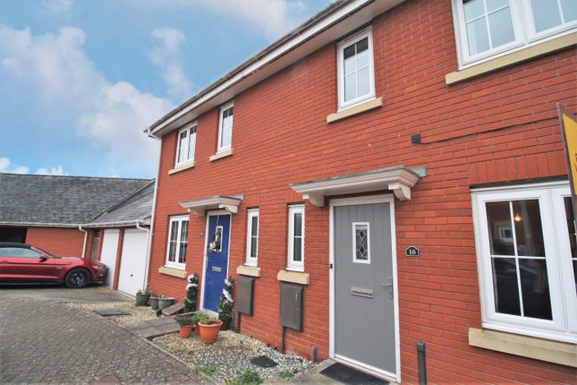 Thumbnail Terraced house to rent in Walsingham Place, Exeter