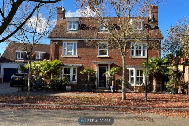Thumbnail Detached house to rent in Arlington Square, South Woodham Ferrers, Chelmsford