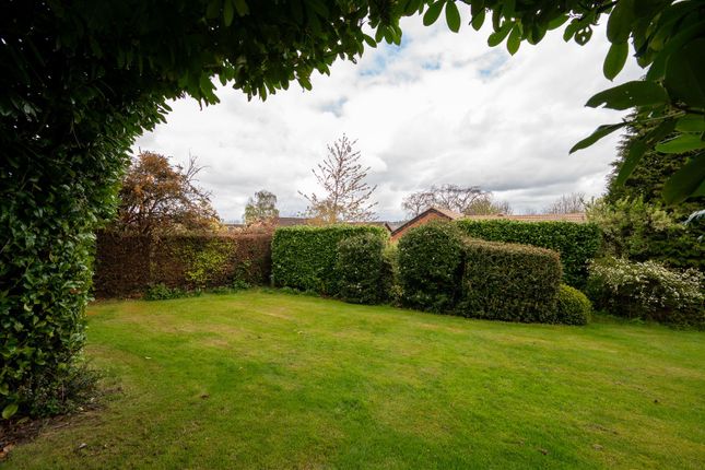 Bungalow for sale in Hallowes Lane, Dronfield