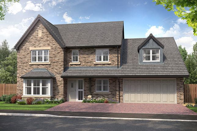 Thumbnail Detached house for sale in "Clayton" at Finchale, County Durham, Finchale, County Durham