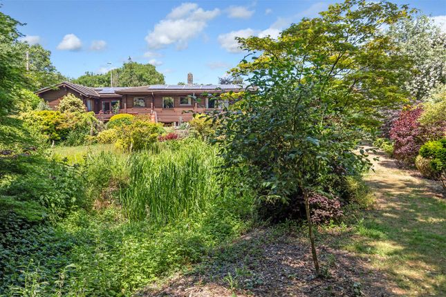Detached bungalow for sale in North Road, Hertford