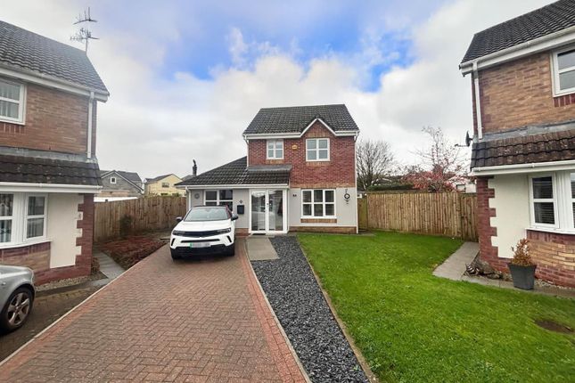 Img-20251112-Wa0006 Copy 2.Jpg