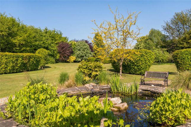 Pond &amp; Gardens