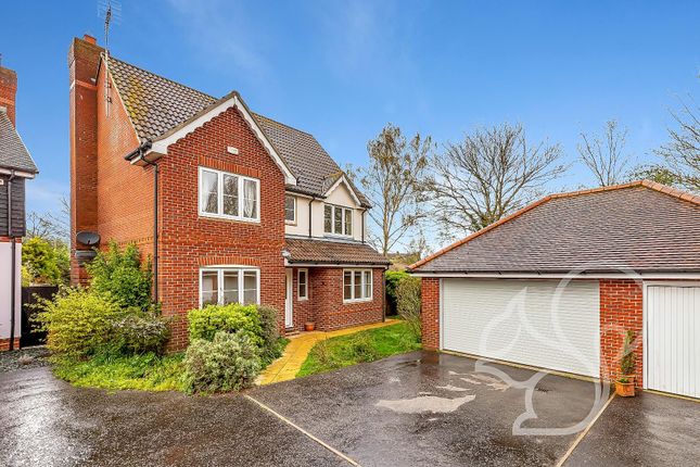 Thumbnail Detached house to rent in Coopers Crescent, West Bergholt, Colchester