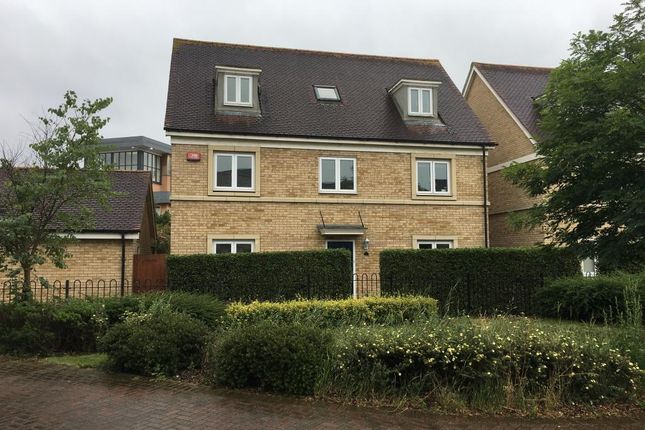 Thumbnail Room to rent in Chambers Drive, Cambridge
