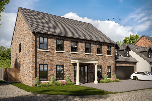 CGI Of Plot 1