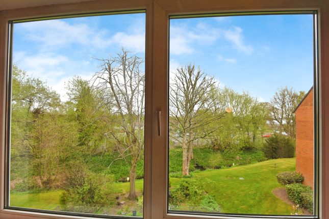 View From Apartment