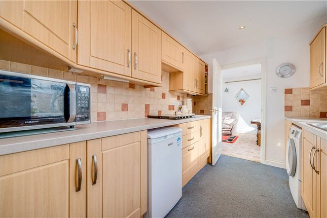 White Rose Studio,, Melmerby, Ripon photo 3