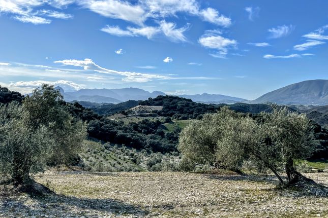 Finca for sale in Olvera, Andalucia, Spain