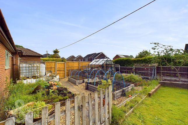Detached bungalow for sale in Chapel Road, Lingwood, Norwich