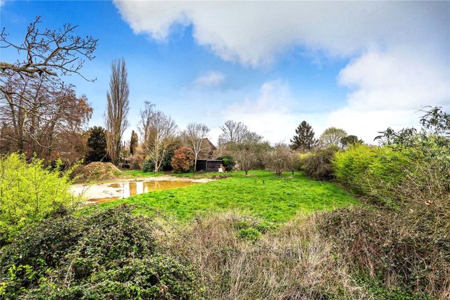 Thumbnail Land for sale in Mill Lane, Ripley, Woking, Surrey