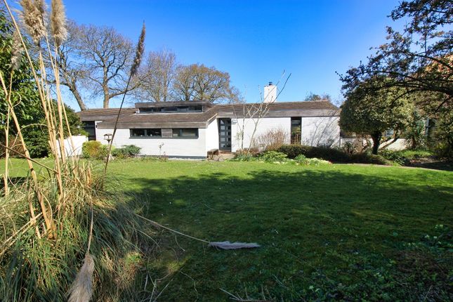 Thumbnail Detached bungalow for sale in Long Mill Lane, Crouch