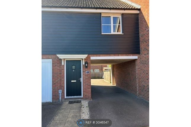 Olive Way, Red Lodge, Bury St. Edmunds photo 2