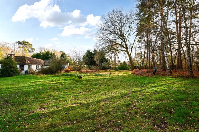 Valois,, Range Road, Wokingham photo 4