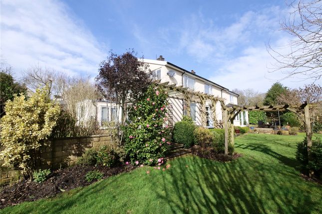 Thumbnail Detached house for sale in Common Lane, Holcombe, Radstock