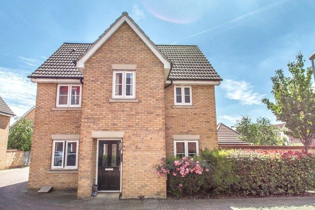 Link-detached house to rent in Ratcliffe Gate, Beaulieu