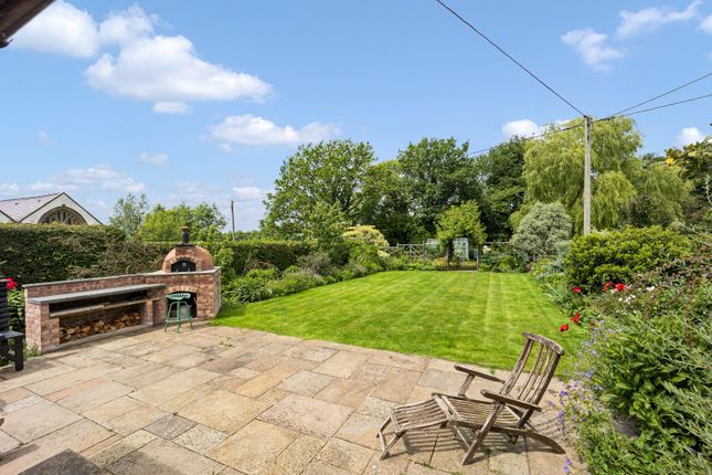 Patio And Barbecue