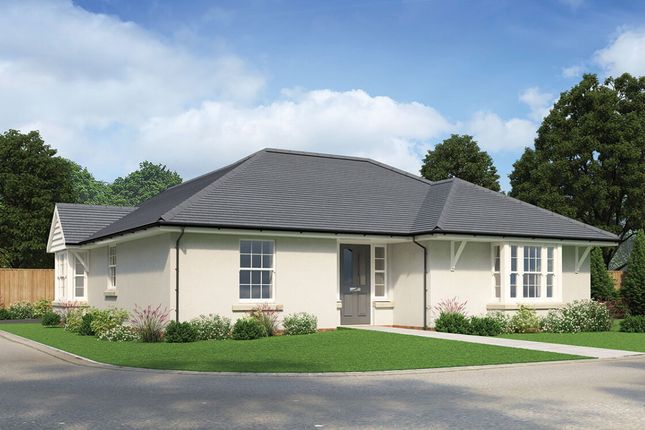 Thumbnail Detached bungalow for sale in Endfield Close, Swansea
