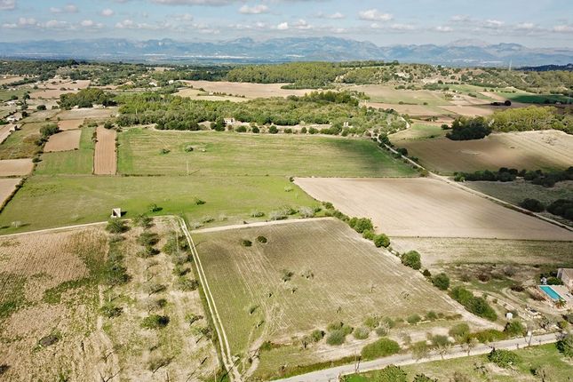 Thumbnail Land for sale in Spain, Mallorca, Sineu