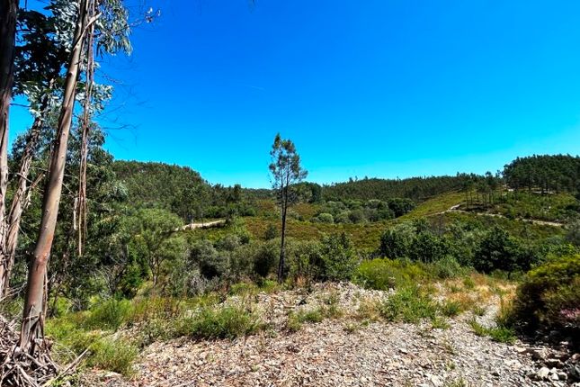 Land for sale in Graça, Pedrógão Grande, Leiria, Central Portugal