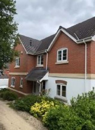 Thumbnail Property to rent in Walney Lane, Hereford